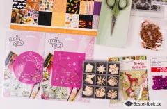 2. Wahl Paket für Scrapbooking [94]